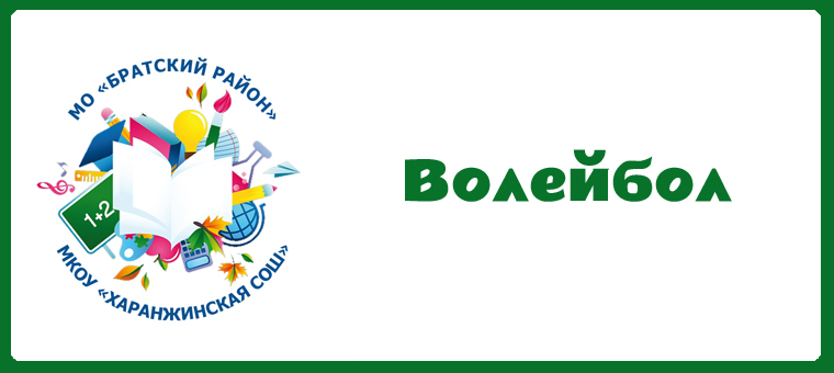 Товарищеская встреча по волейболу.